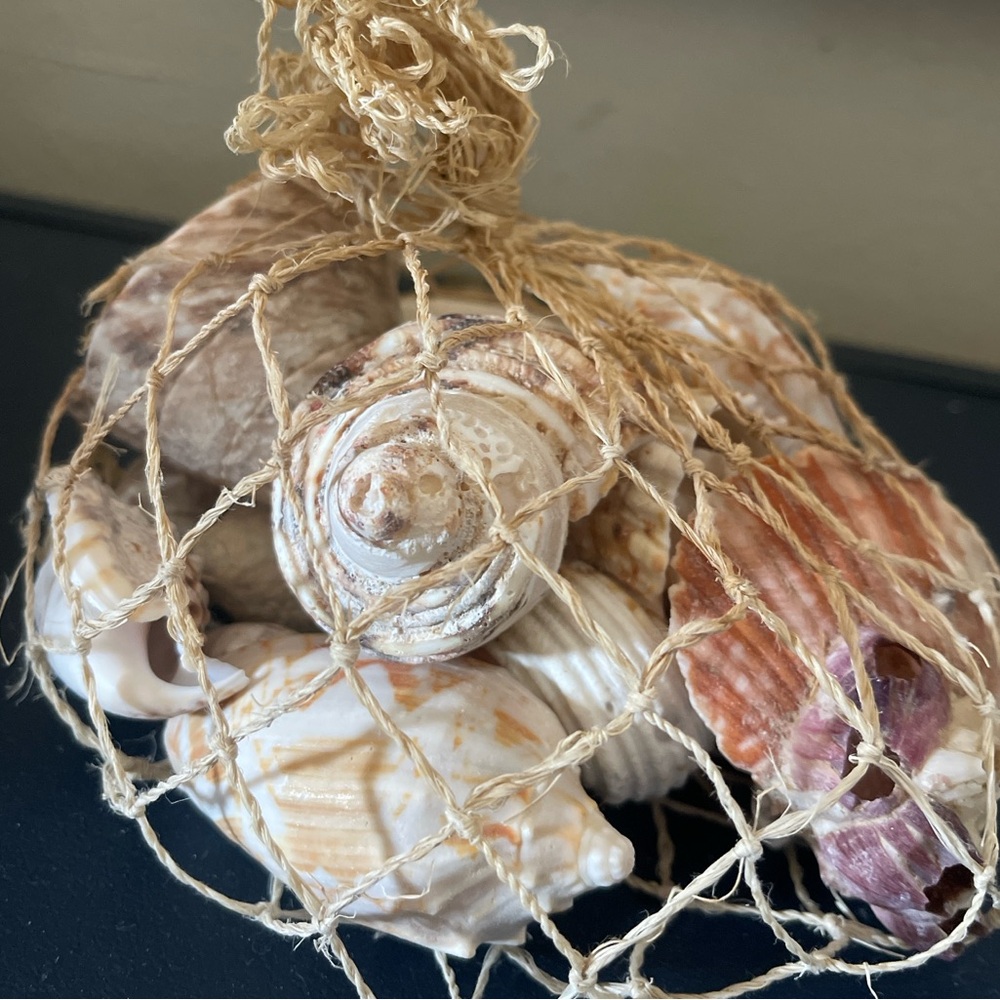 Vintage lot of various shells seashells in net bag beach house decor
